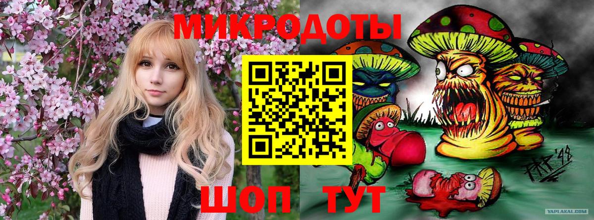 Кингисепп  Псилоцибиновые грибы Psilocybe  Вход с VPN  Псилоцибиновые грибы MAGIC MUSHROOMS 