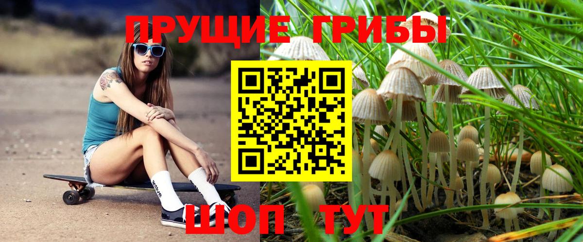 Галлюциногенные грибы ЛСД Кингисепп